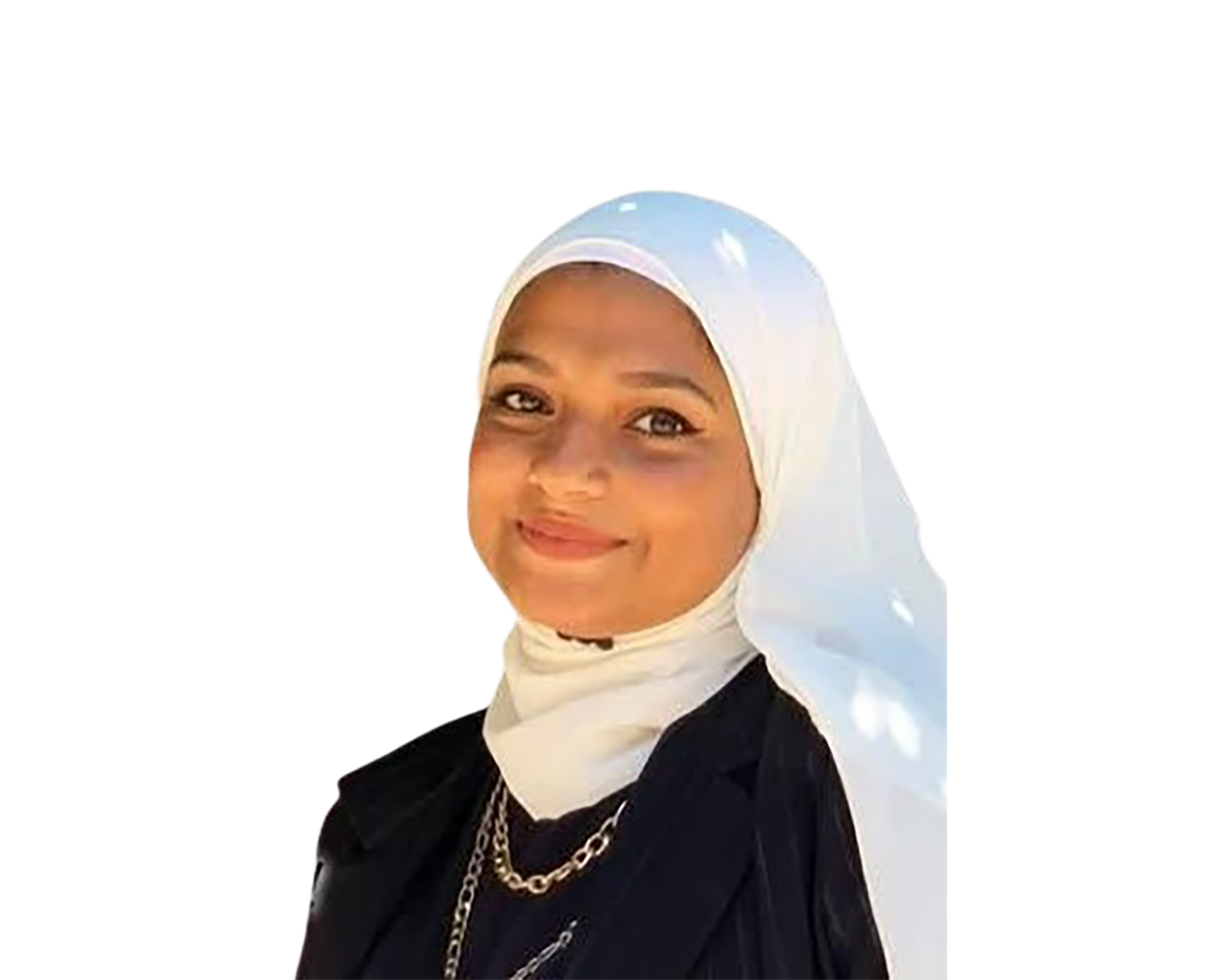 Alaa Hesham