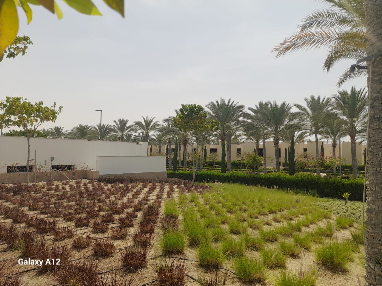 Beach Club Marassi