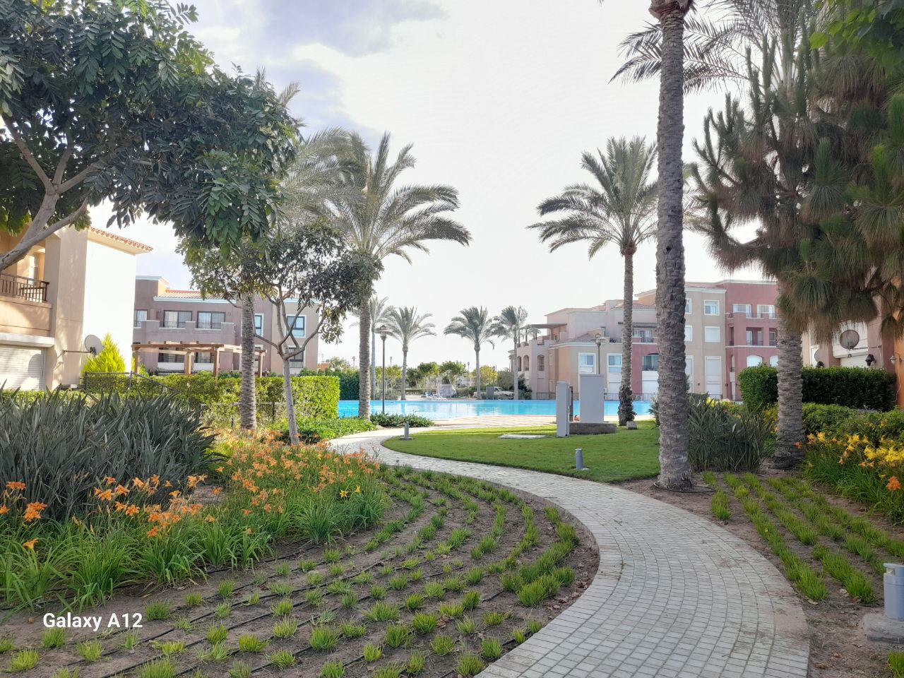 Verde Maintenance - Marassi